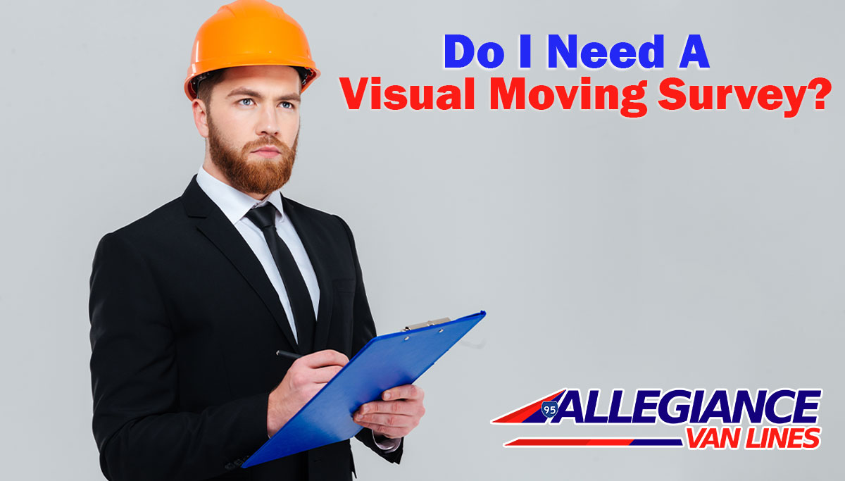 Visual Moving Survey