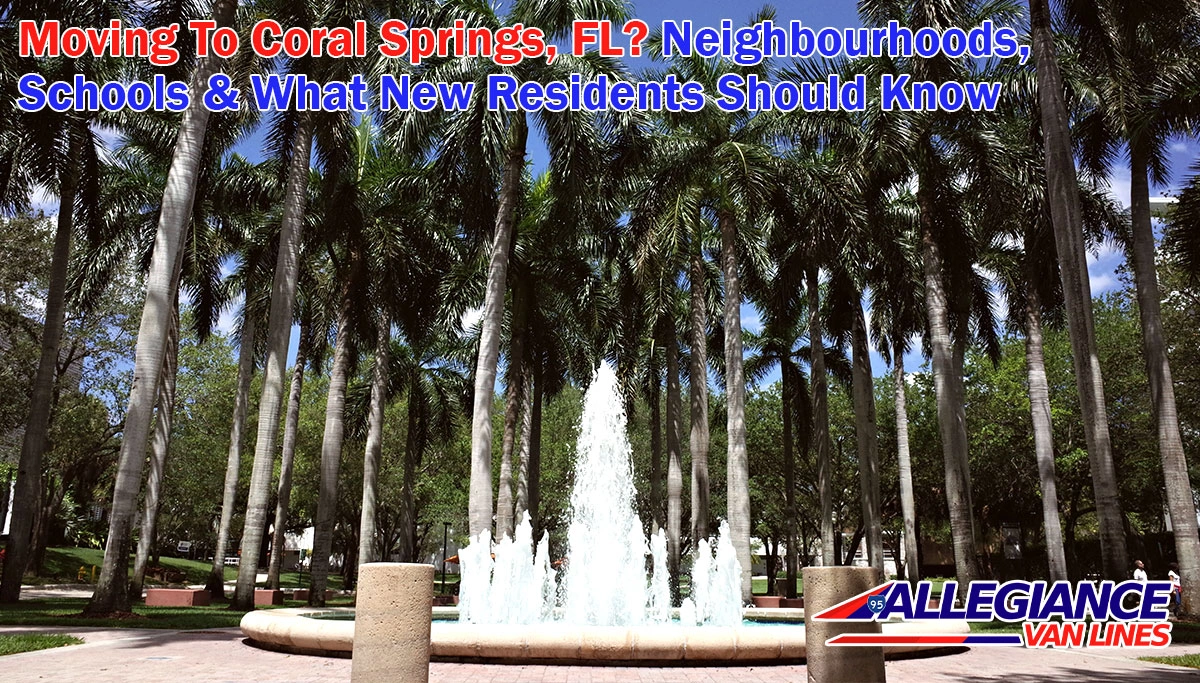 water fountain in a park behind palm trees